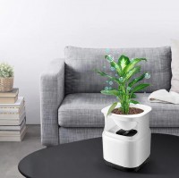 Air Purifiers